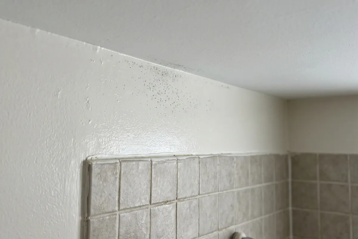 The upper corner of an ordinary bathroom where the wall meets the ceiling above a tiled shower, with a faint patch of small dark mold specks on slightly steamy paint — a common, modest mold source in homes.