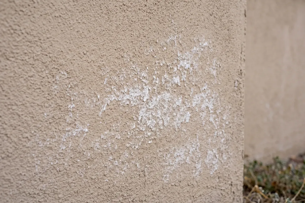 Close-up of white crystalline efflorescence on a beige Phoenix CMU block wall base — powdery mineral bloom pattern in morning shade, showing the chalky texture distinct from mold.