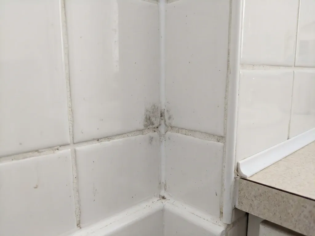 Closeup of a small faint dark gray mold patch growing in the corner junction of a bathroom wall, white tile grout, mild early growth, soft bathroom light, modest stain not dramatic infestation.