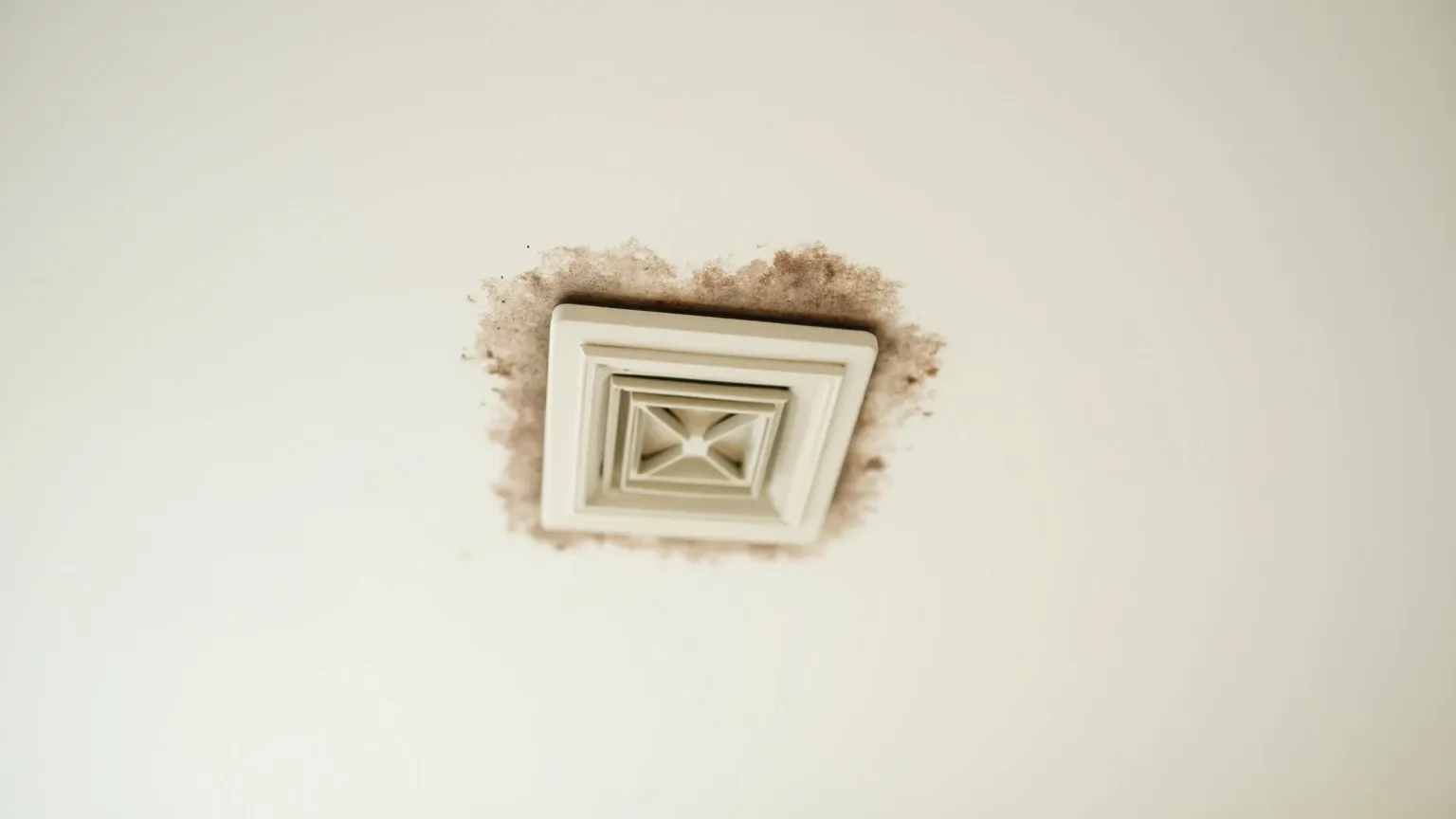 A brown water stain ringed with dark mold on a white ceiling below an air-conditioning vent, a classic Phoenix ceiling-mold pattern.
