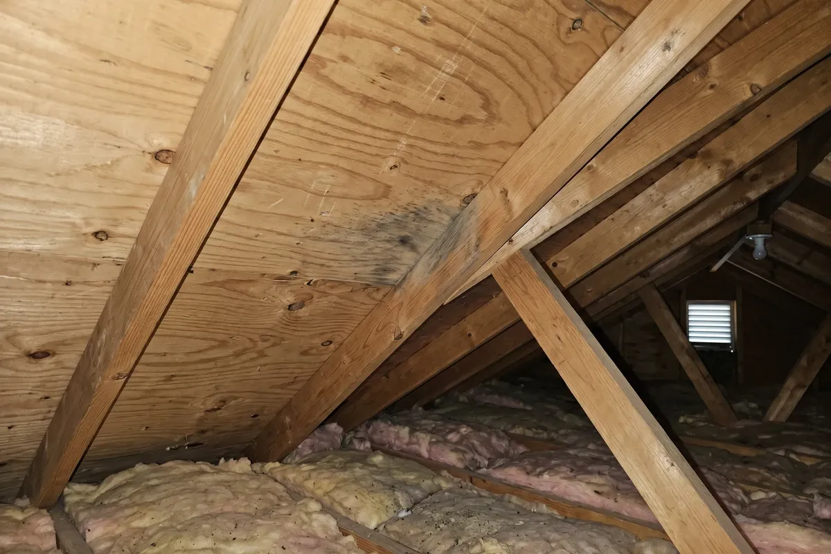 The underside of wooden roof decking and rafters in a residential attic with a faint darkened patch of mold staining on the plywood sheathing near a rafter, dim attic light and insulation below — a common spot for wood mold in Phoenix homes.