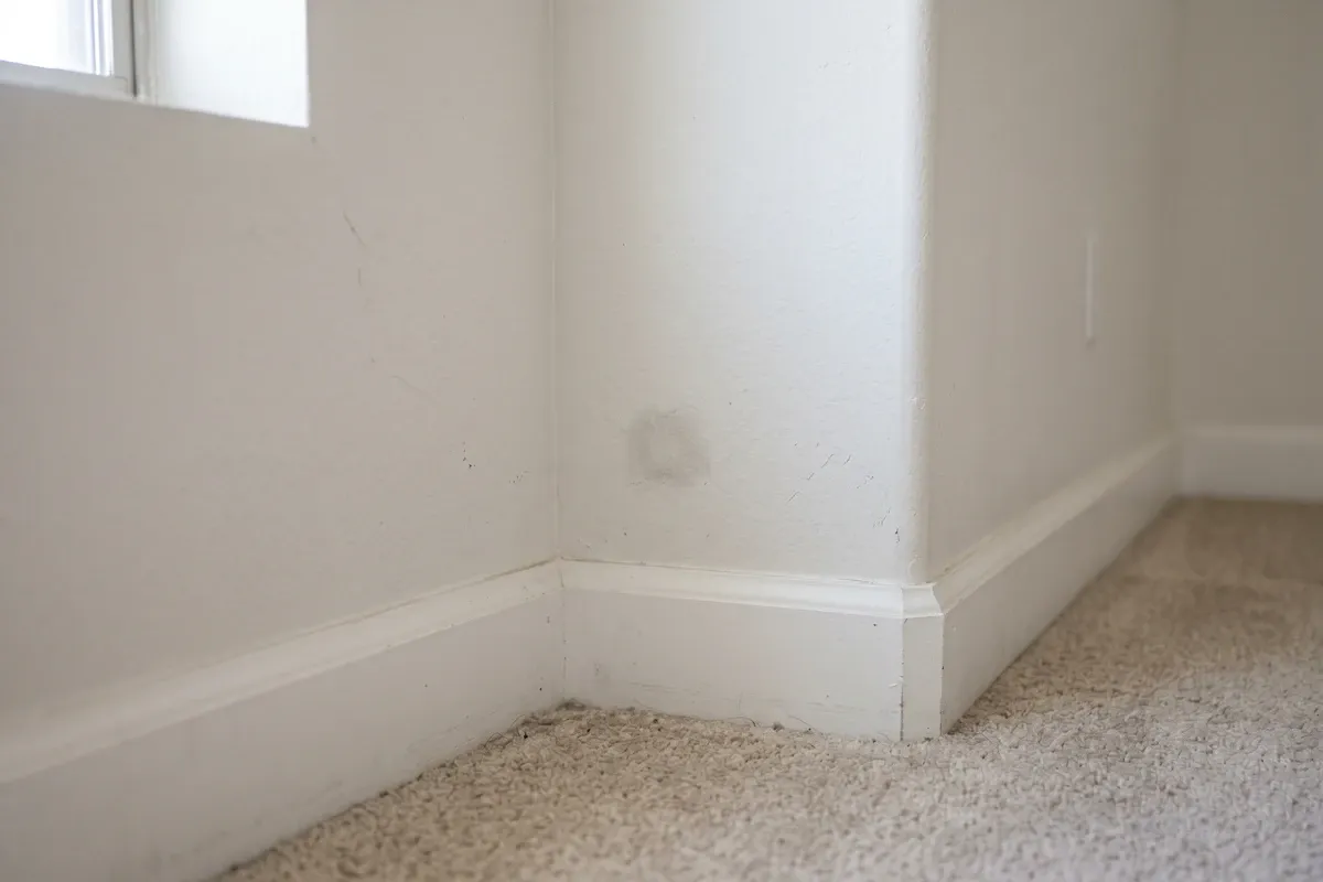 Small faint grey discoloration spot in a corner of a Phoenix home interior wall near the floor, neutral wall paint, ordinary residential drywall, calm natural window light.